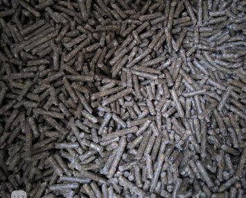 granule iepuri start