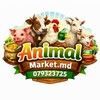 animalmarket.md