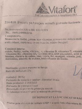 premix gestante lactante